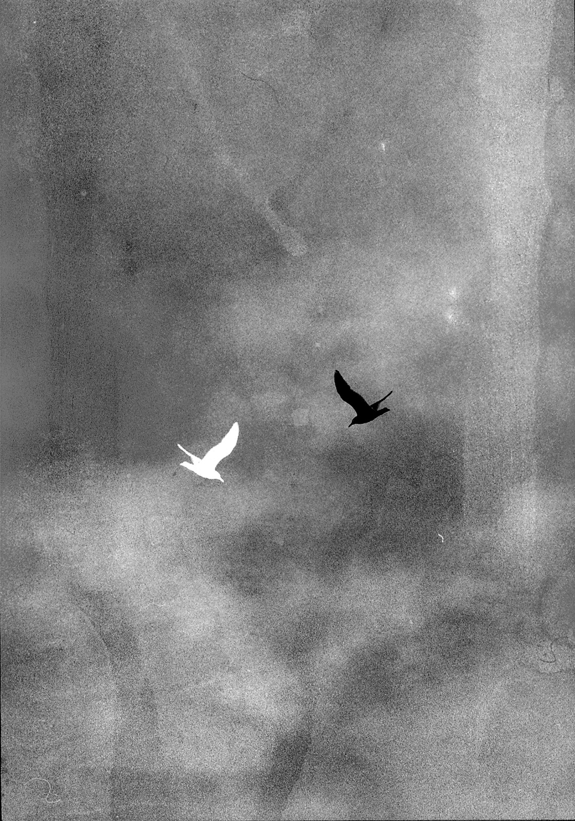All About The Birds
