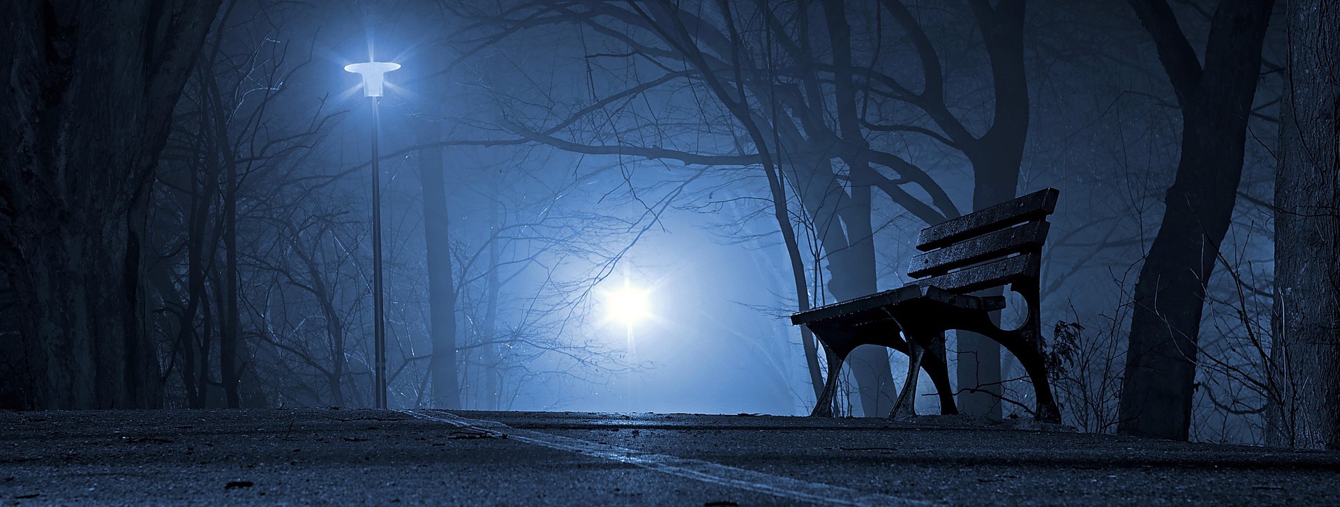 Page banner image