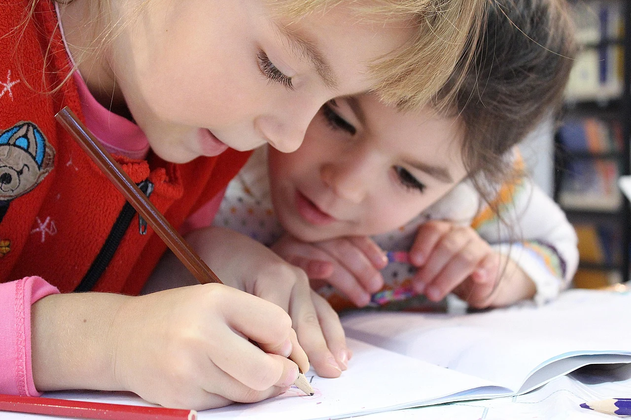 Educational Neuroscience: Create and Celebrate How We Learn