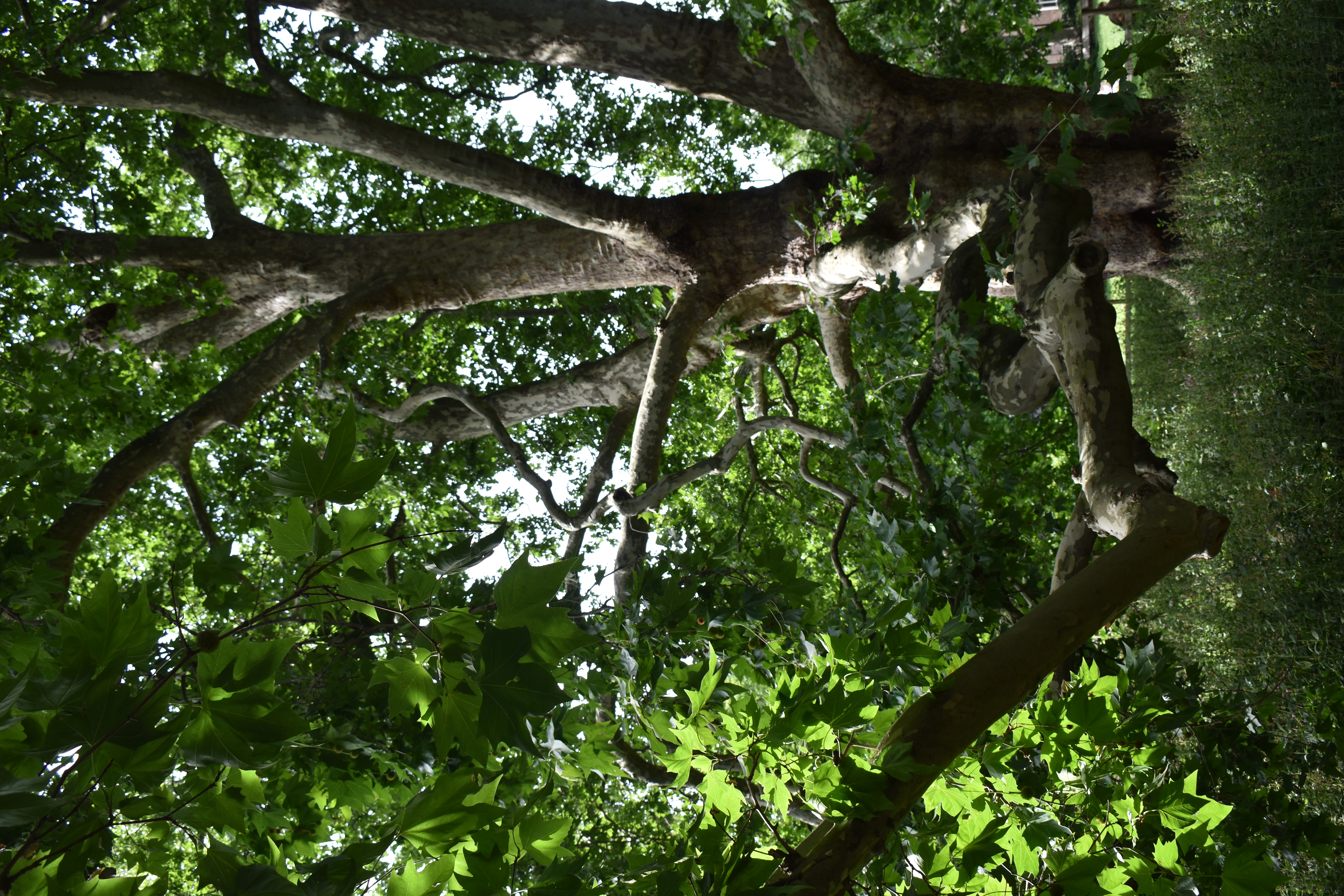Page banner image