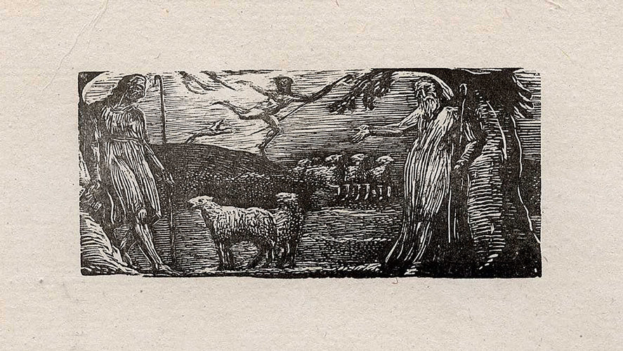 Page banner image