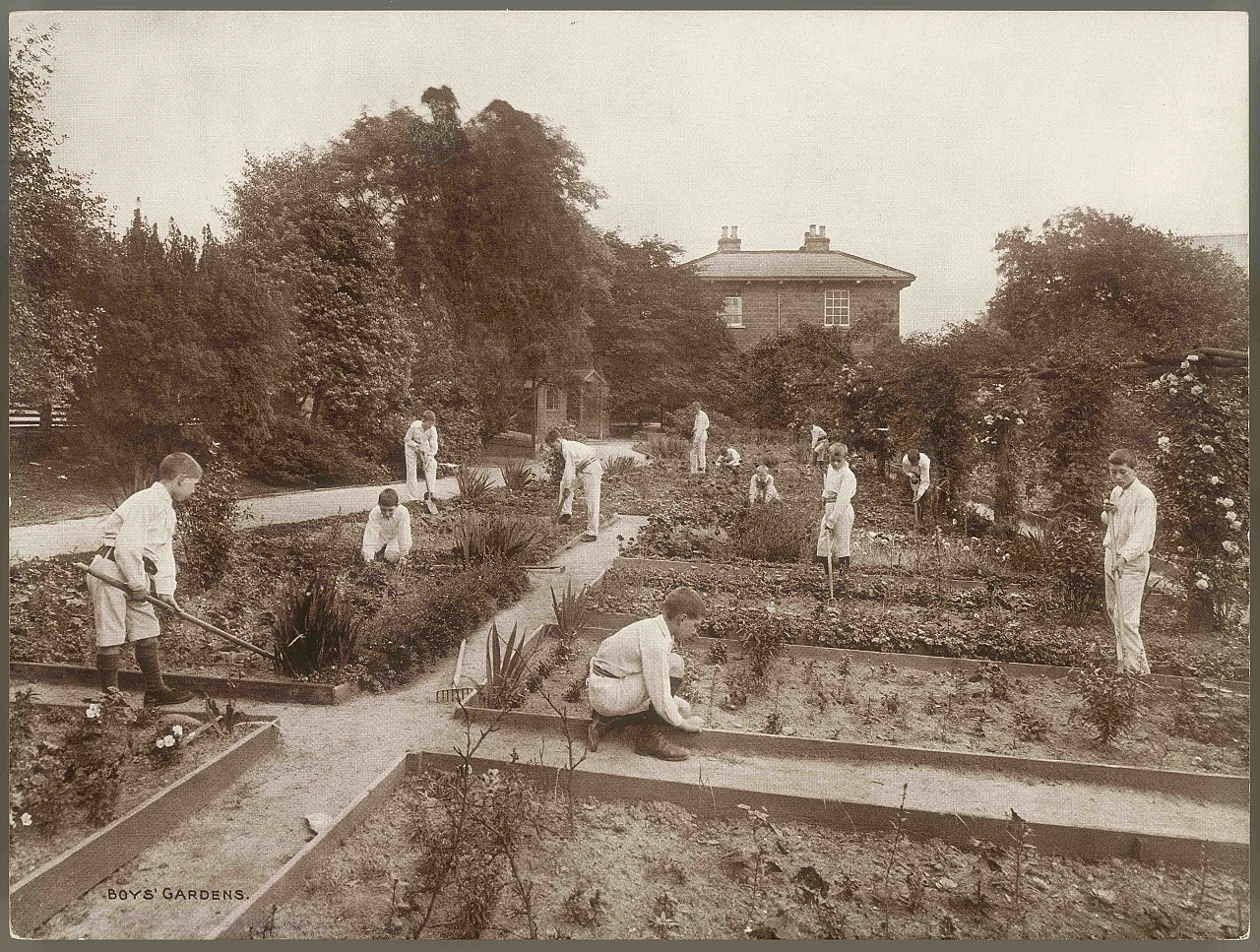 Where we grow: nature, nurture and childhood